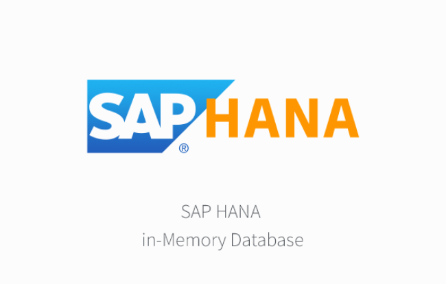 sap hana database b1